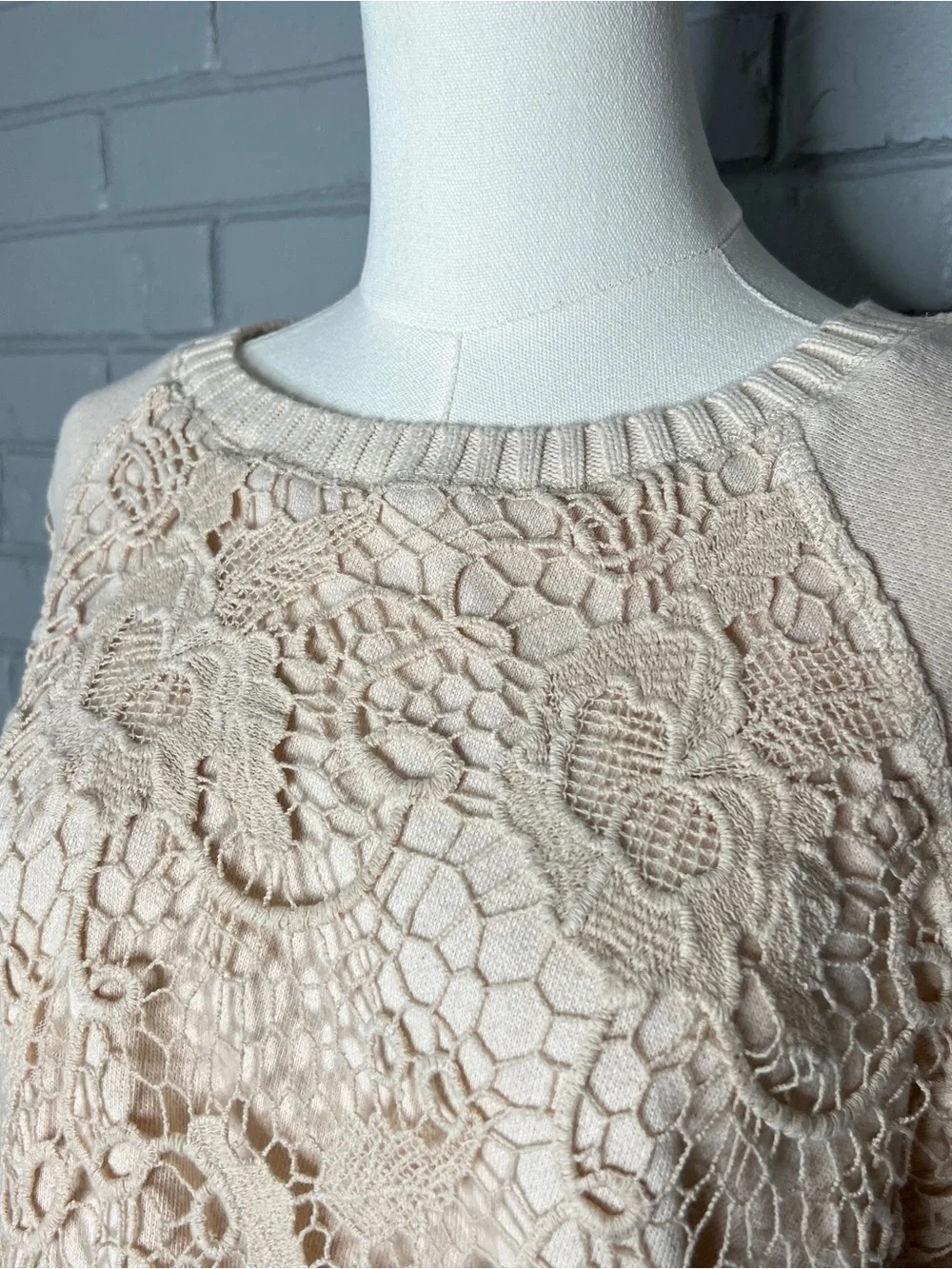 Free People Pretty Rad Champagne Crochet Open Back Lace Long-Sleeve Top - XS